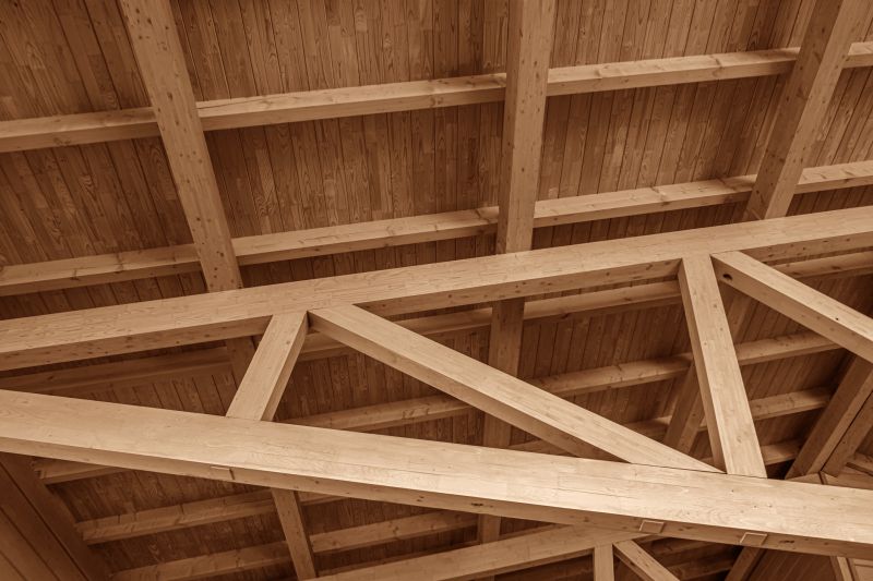 Ceiling Joist Repair in Wilmington, NC