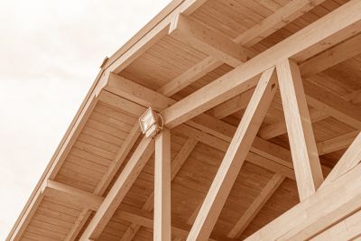 Residential and Commercial Roof Framing